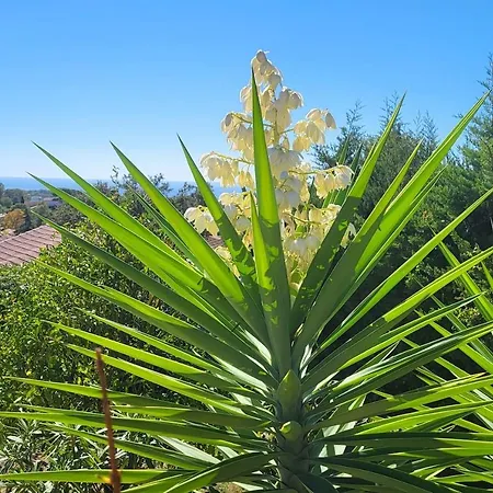 St Raphael - Cap Esterel Location Colette Appartement Saint-Raphaël